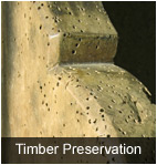 Timber Preservation in Norfolk and Suffolk