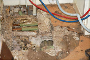 Dry rot treatment in Norfolk and Suffolk