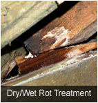 Dry and wet rot treatment in Norfolk and suffolk